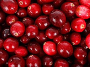 cranberry