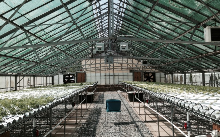 Bjull_Newark_RadicleFarm_Hydroponics